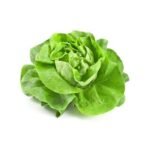 Salade laitue